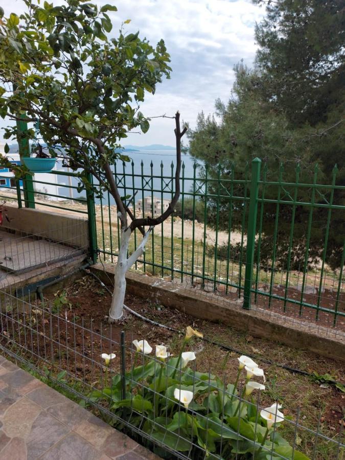 Villa Luiza Sarandë Exteriör bild